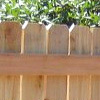 Fir Fence ( Fir Fence)