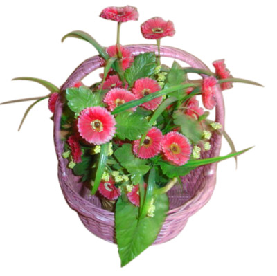  Gift Basket ()