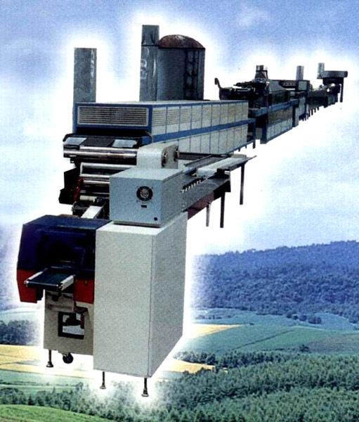  Fried Instant Noodle Production Line (Fried Instant Noodle Ligne de production)