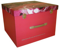 Cardboard Box (Cardboard Box)