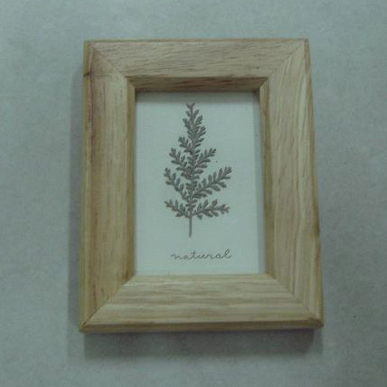  Frame ()