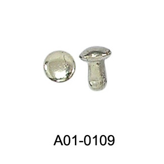  Rivet