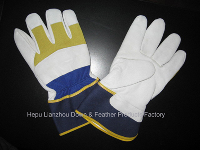  Work Gloves ( Work Gloves)