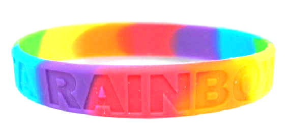  Silicon Wristband (Silicon Wristband)