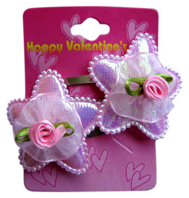  Hair Clip ( Hair Clip)