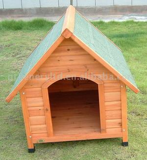  Dog House ( Dog House)