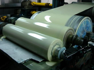  Color Coated Steel Coil