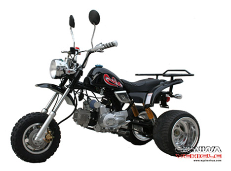  50cc-110cc Tricycle (50cc-110cc Tricycle)