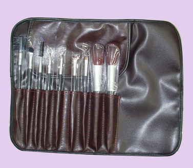  9-Piece Cosmetic Brush Set in PEO Bag (9-teilige Kosmetik Pinsel Set in PEO-Bag)
