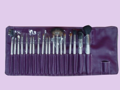  20-Piece Cosmetic Brush Set (20-Piece Kosmetik Pinsel Set)