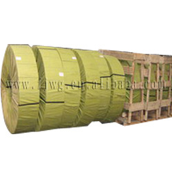  Cold Rolled Stainless Steel Strip (Kaltgewalzte Edelstahl-Streifen)