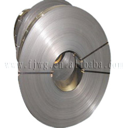  Cold Rolled Stainless Steel Strip (Kaltgewalzte Edelstahl-Streifen)