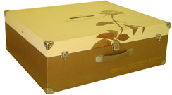  Cardboard Box ( Cardboard Box)