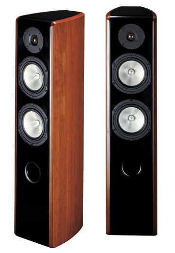  Floor-Standing Speaker System (Floor-Standing Speaker System)