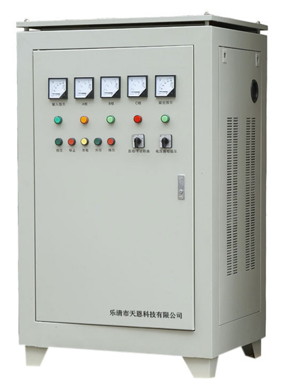  SBW Series Voltage Stabilizer (SBW Serie Spannungskonstanthalter)