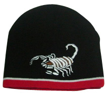  Embroidered Hat (Brodé Hat)
