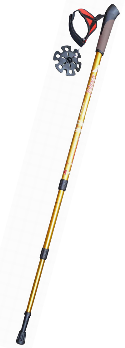  Walking Sticks