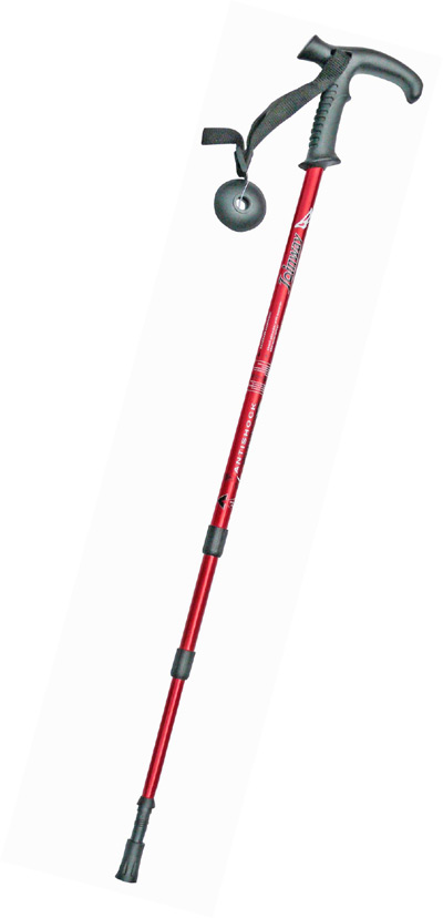  Walking Sticks
