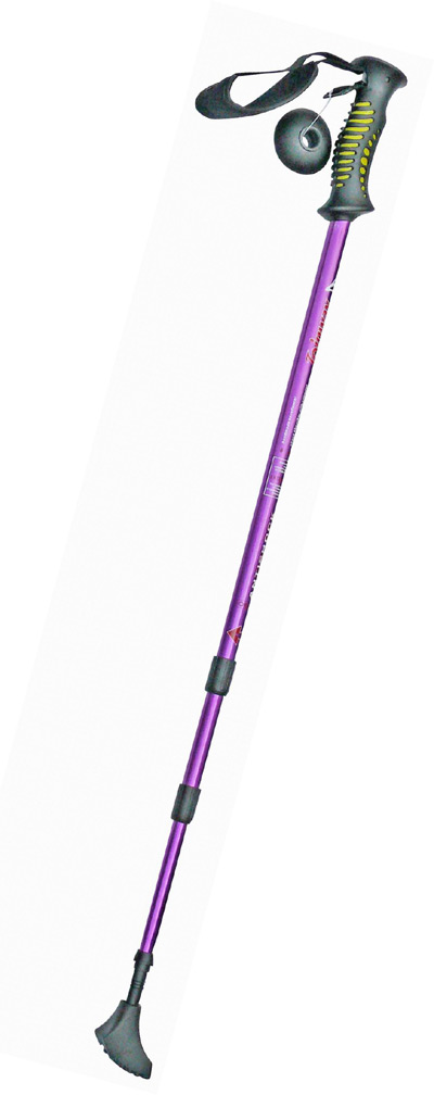  Walking Sticks