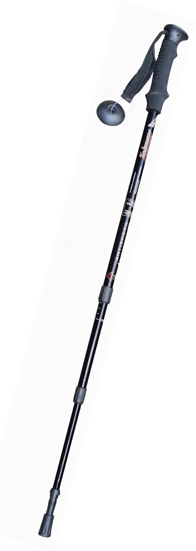  Walking Sticks