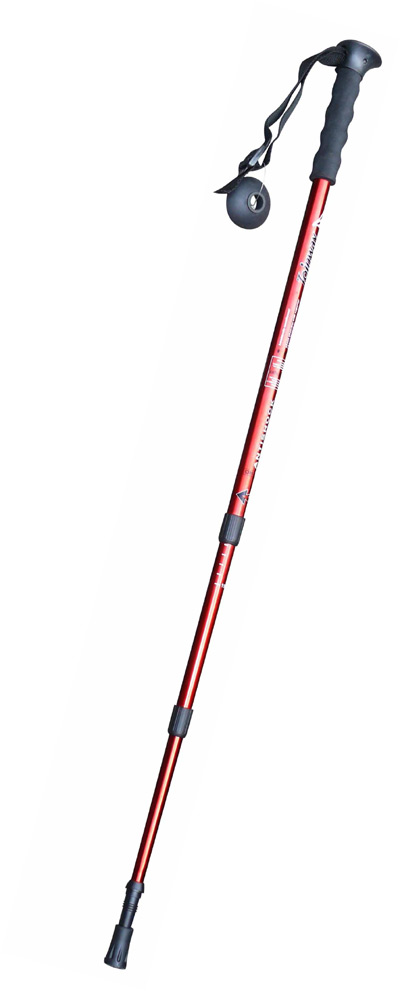  Walking Sticks