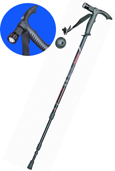  Walking Sticks