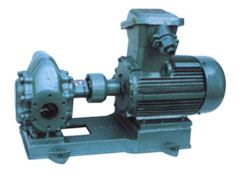  Gear Oil Pump ( Gear Oil Pump)