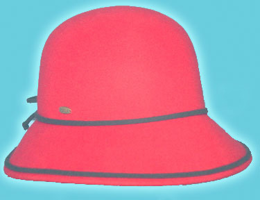  Fashion Hat ( Fashion Hat)