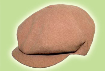  Fashion Cap ( Fashion Cap)