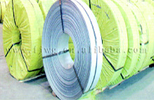 Hot Rolled Stainless Steel Strip (Hot Edelstahlkaltband)