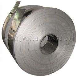  Cold Rolled Stainless Steel Strip (Kaltgewalzte Edelstahl-Streifen)