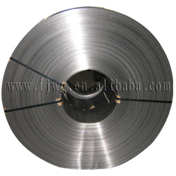  Cold Rolled Stainless Steel Strip (Kaltgewalzte Edelstahl-Streifen)