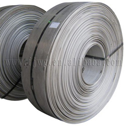  Hot Rolled Stainless Steel Strip (Hot Edelstahlkaltband)