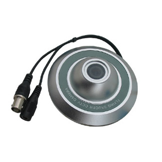  Vandal-Proof Dome Camera (Anti-vandalisme Caméra dôme)