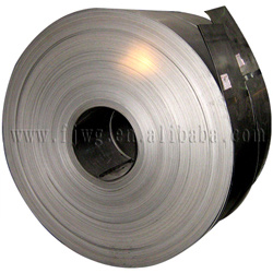  Cold Rolled Stainless Steel Strip (Kaltgewalzte Edelstahl-Streifen)