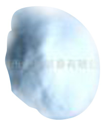  Wollastonite ( Wollastonite)