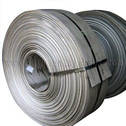  Hot Rolled Stainless Steel Strip (Hot Edelstahlkaltband)