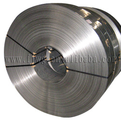  Cold Rolled Stainless Steel Strip (Kaltgewalzte Edelstahl-Streifen)
