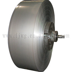  Cold Rolled Stainless Steel Strip (Kaltgewalzte Edelstahl-Streifen)