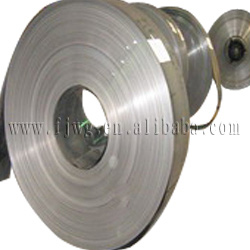  Cold Rolled Stainless Steel Strip (Kaltgewalzte Edelstahl-Streifen)