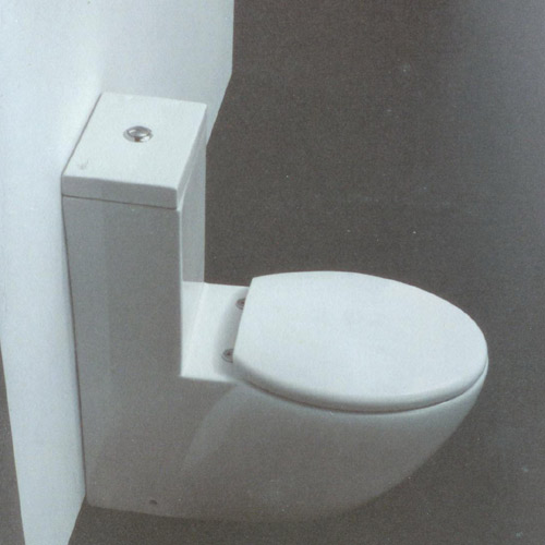  One-Piece Toilet (One-Piece WC)