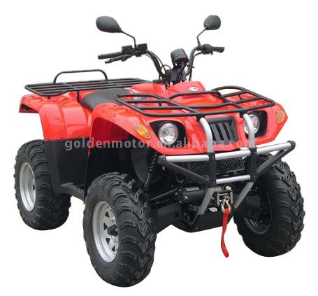  300cc 4 x 4WD ATV (300cc 4 x 4WD ATV)