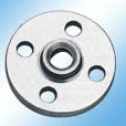  Flange ( Flange)