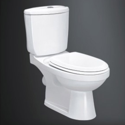 Washdown Two-Piece Toilet (Washdown Two-Piece WC)