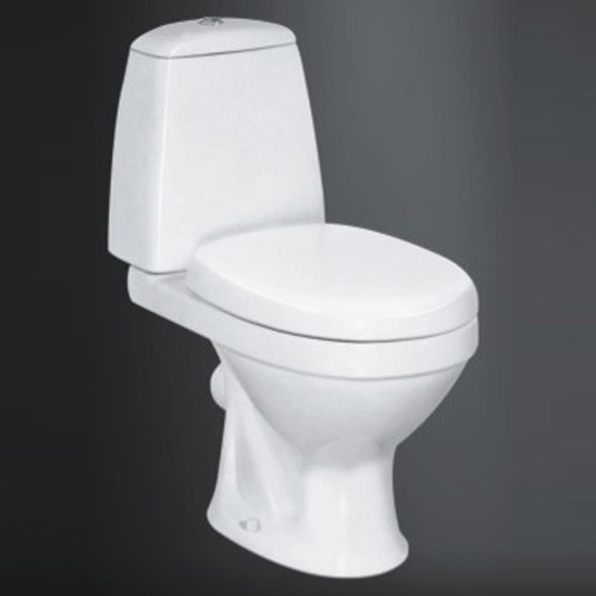  Washdown Two-Piece Toilet (Washdown Two-Piece WC)
