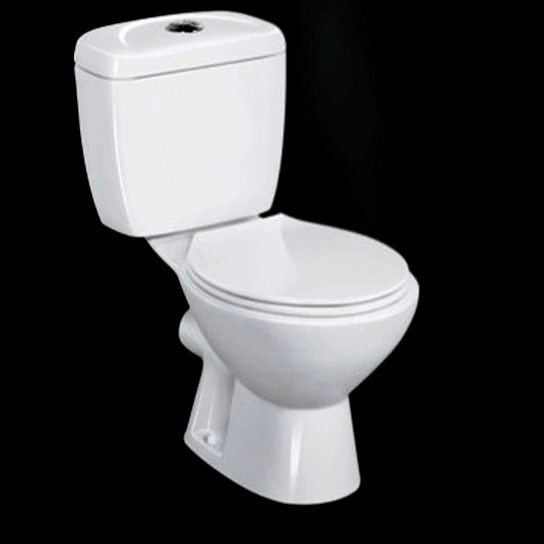  Washdown Two-Piece Toilet (Washdown Two-Piece WC)