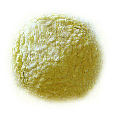  Modified Guar Gum Powder (Modification de gomme de guar en poudre)