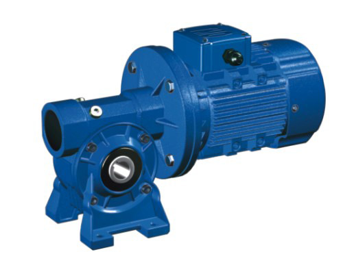  W Series Worm Gear Reducer