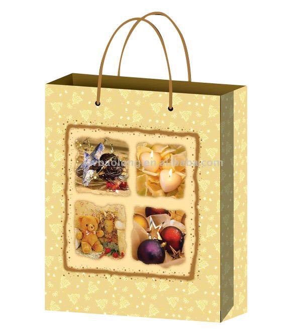  PP & Paper Shopping Bag (PP & Paper Shopping Bag)