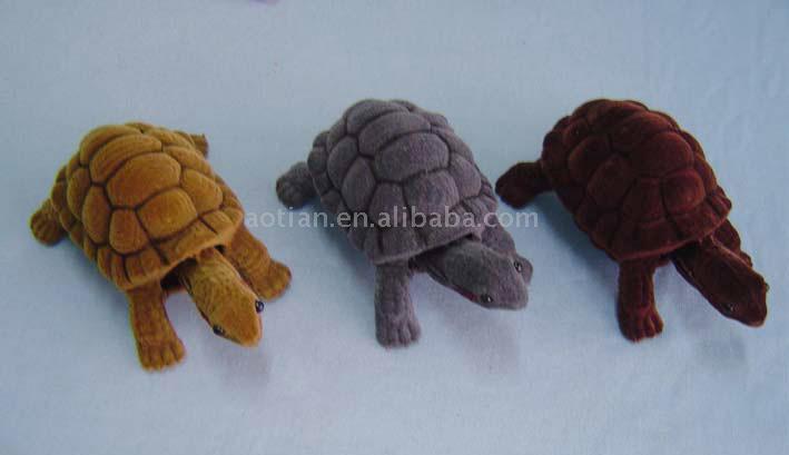  Flocking Nodding Tortoise